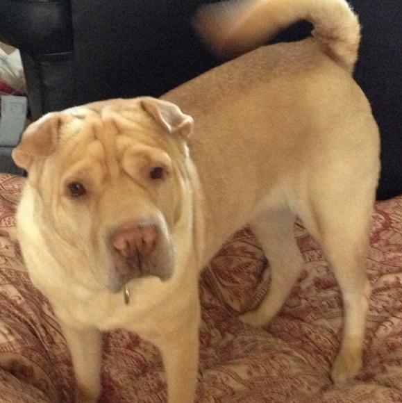 READ Before You Offer Or Buy - Picture 5 of 15